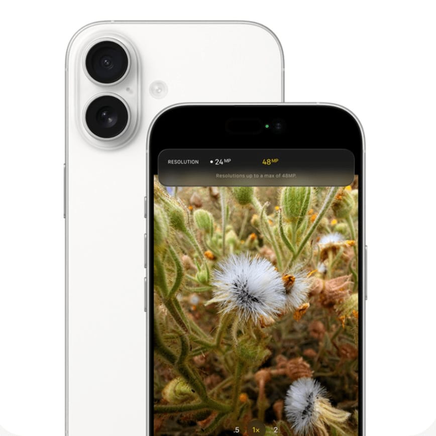 iPhone 17 Camera Sample Photo